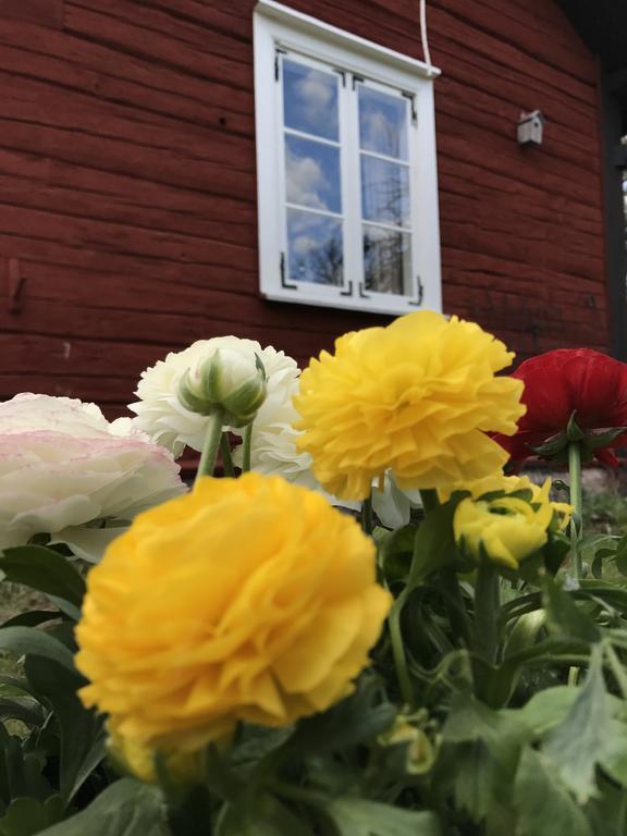 Visingso Pensionat Esterno foto
